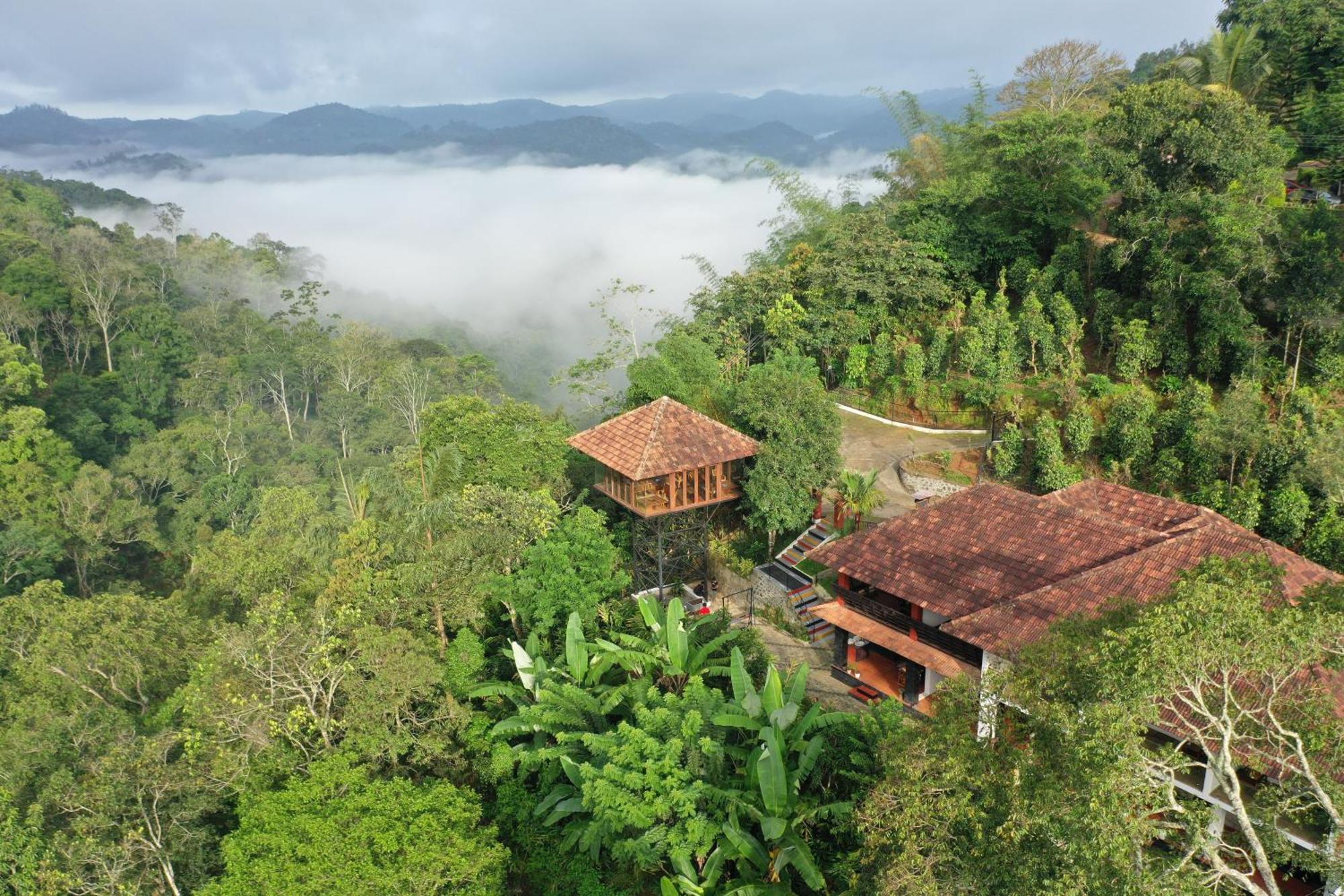 Spice Forest Plantation Homestay, Thekkady Vandiperiyār Buitenkant foto