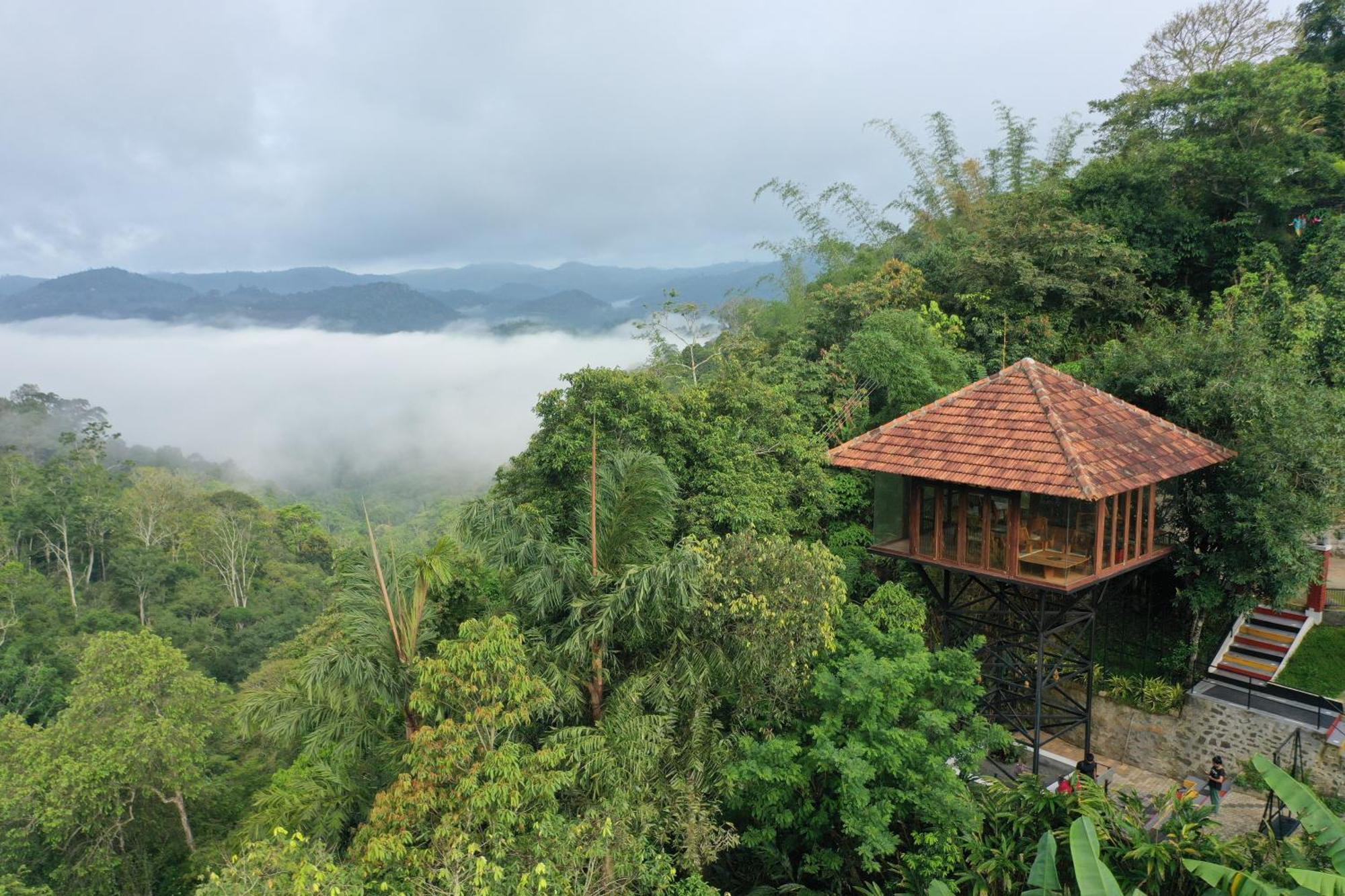 Spice Forest Plantation Homestay, Thekkady Vandiperiyār Buitenkant foto