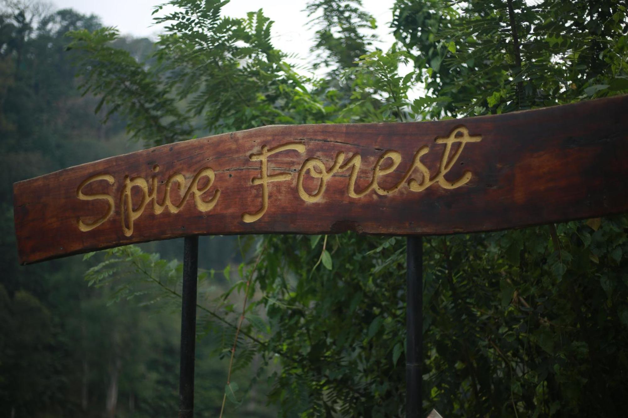 Spice Forest Plantation Homestay, Thekkady Vandiperiyār Buitenkant foto